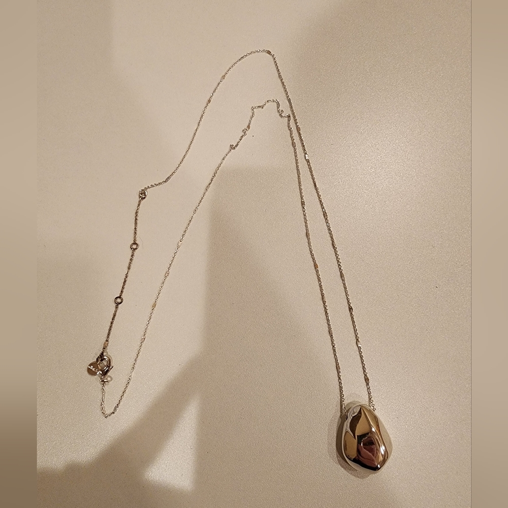 Long Silver Stella & Dot Necklace